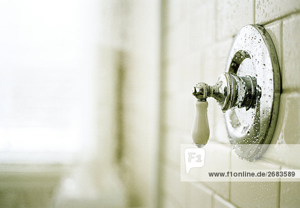Chrome Shower valve in Tiled Shower Stall