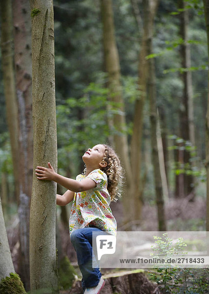 Young girl starting to climb tall tree
