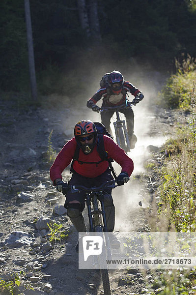 Mountain bikers riding downhill