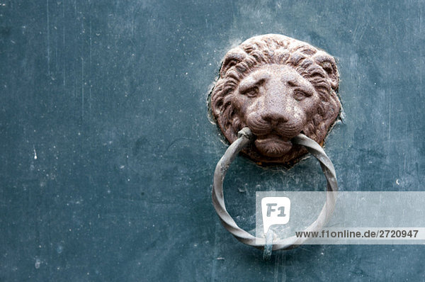 Italy  Venice  Lion head door knocker  close-uo