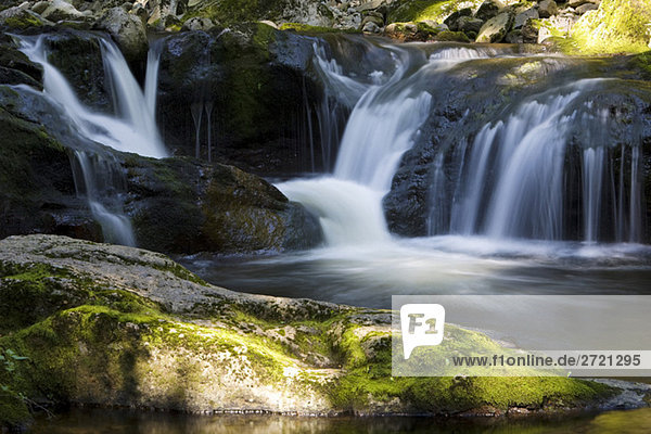 Botanischer Garten Botanische Europa Klein Bach Wasserfall