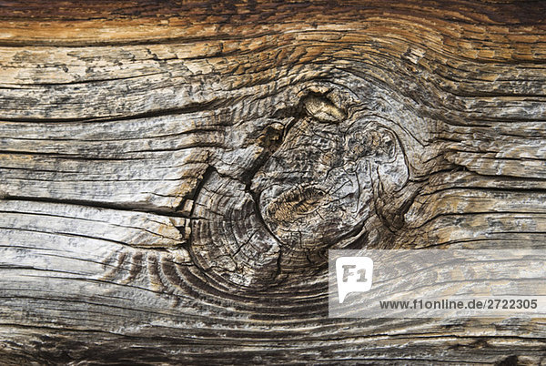 Baumstamm  Holzmaserung  Nahaufnahme