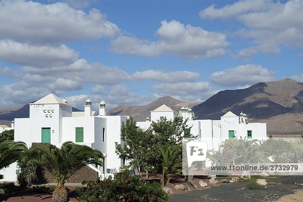 Bäume vor Resort Playa Blanca Lanzarote Kanaren Spanien