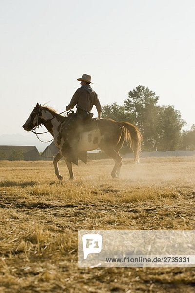 A cowboy riding a horse