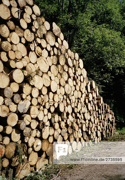 A stack of logs  Austria