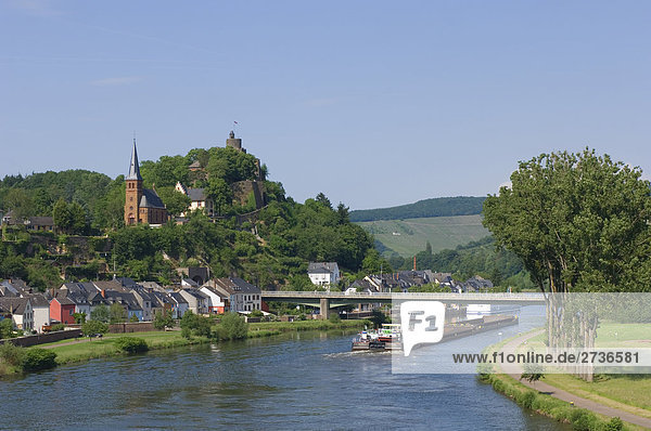 Kahn im Fluss  Saarburg  Rheinland-Pfalz  Deutschland