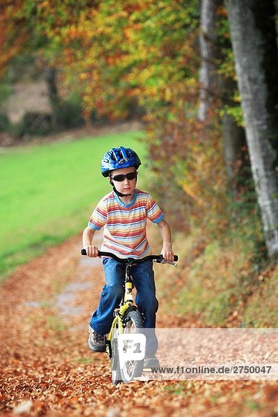 Junge - Person Weg Wald Herbst bedecken Fahrrad Rad Laub