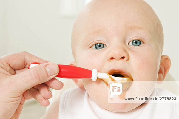 Ein Porträt eines Babys  das seine Nahrung isst.