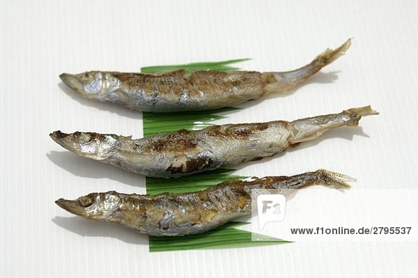 Japanische Makrelen  gegrillt