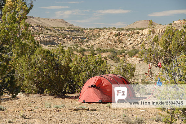 Zelt im Feld  New Mexico  USA