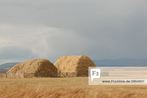 Heap of straw crop in field  Big Hole Valley  Montana  USA