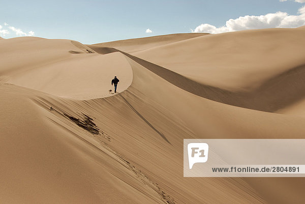 Rear view of man walking in sand dune  Great Sand Dunes National Park  Colorado  USA