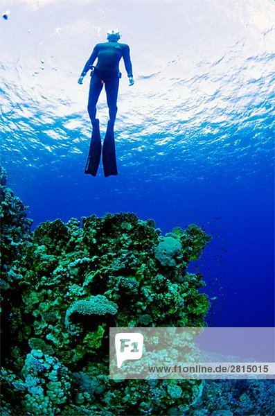 A diver in blue water Egypt.