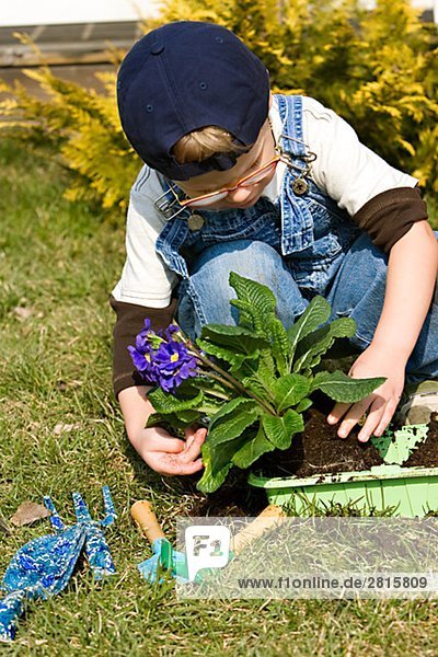 A boy planting flowers Sweden.