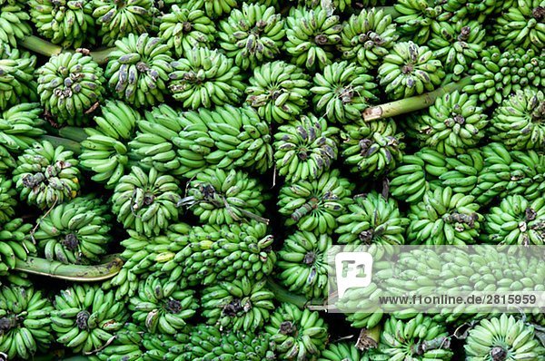 Bananen Indien.