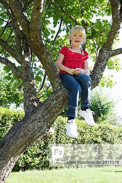 A girl climbing a tree Sweden.