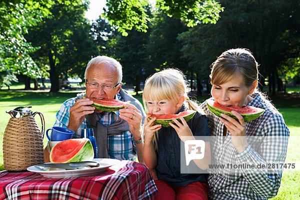 Senior man woman and girl having a picnic Sweden.