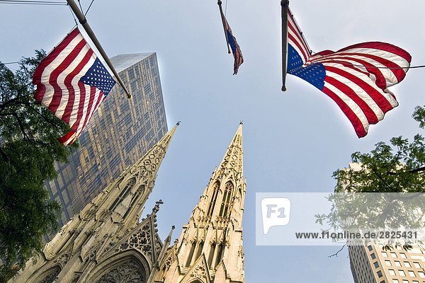 USA  New York City  St. Patrick Kathedrale
