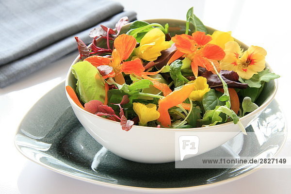 Close-up of bowl of vegetable salad on plate