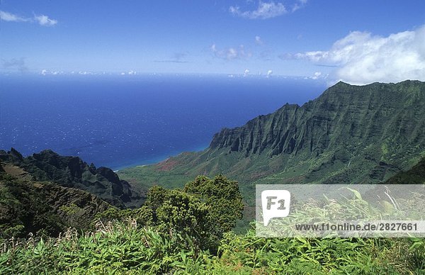 Honopue Valley Hawaii USA