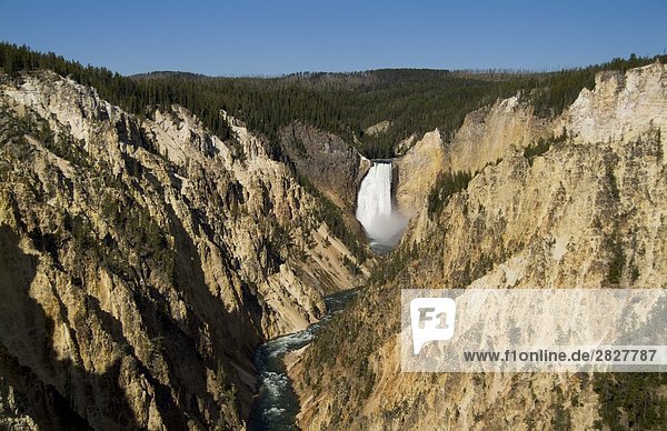 Lower Falls im Grand Canyon of the Yellowstone vom Artist Point gesehen  USA