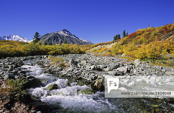 Alpine Tundra in Herbstfarben unter Mount Decoeli  Kluane National Park  Yukon-Territorium  Kanada.