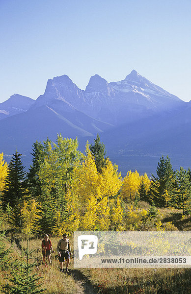 Wanderer entlang der Benchlands Trail  drei Schwestern Berge  Canmore  Alberta  Kanada.