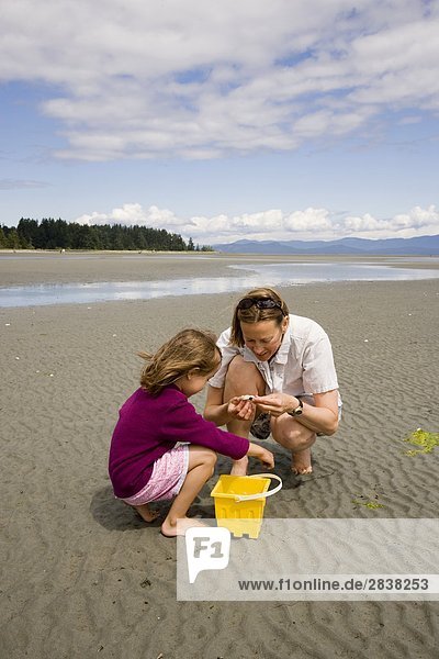 niedrig Strand Gezeiten sammeln jung Tochter Mutter - Mensch British Columbia Kanada kassieren alt