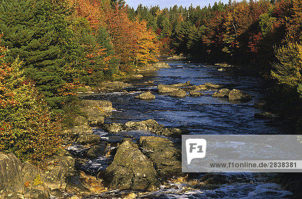 Sable River geschmückt mit fallen Farben  Nova Scotia  Kanada
