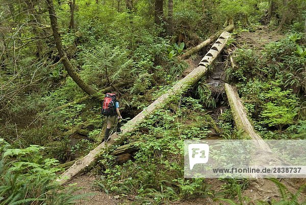 Log Crossing. West Coast Trail  Pacific Rim National Park Reserve  british columbia  canada.