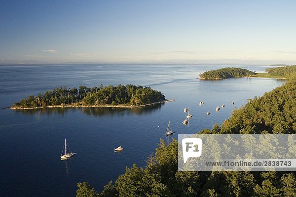 Tumbo & Cabbage Islands from the air  Gulf Islands National Park Reserve  british columbia  canada.