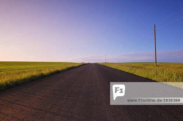 Newly paved country road in farmland area of Strathcona County (East of Edmonton)  Alberta  Canada.