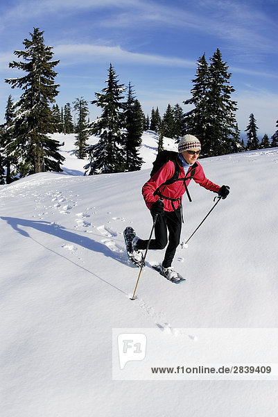 Schneeschuhwandern auf Hollyburn Mountain  Cypress Provincial Park  West Vancouver  British Columbia  Kanada.