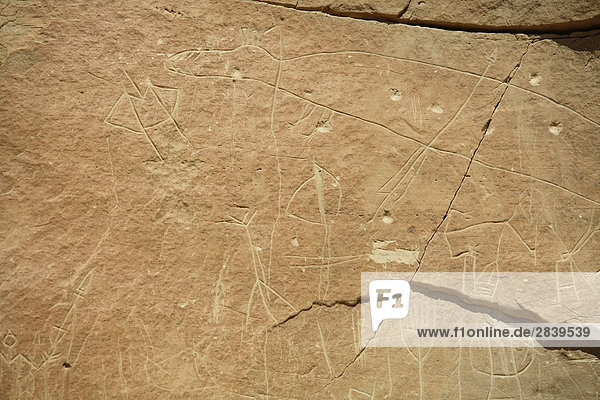 Archeologic native Felskunst (Petroglyphen) in Writing-on-Stein Provincial Park  in der Nähe von Milk River  Alberta  Kanada.
