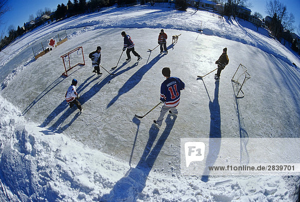Jungs spielen Hockey auf outdoor Eislaufbahn  Winnipeg  Manitoba  Kanada.