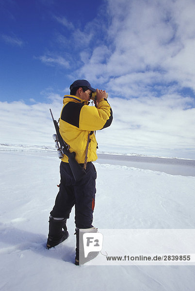 Young Inuit hunter scans horizon at ice flow edge near village of Kimmirut  Baffin Island  Nunavut  Canada.