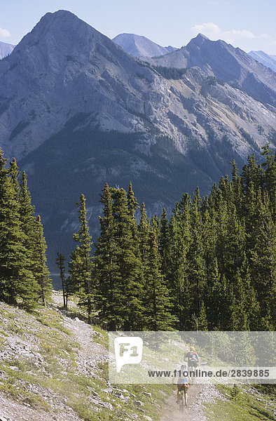 Mountainbiker fahren hinunter Trail in den Wald in Kananaskis Country  Rocky Mountains  Alberta  Kanada.