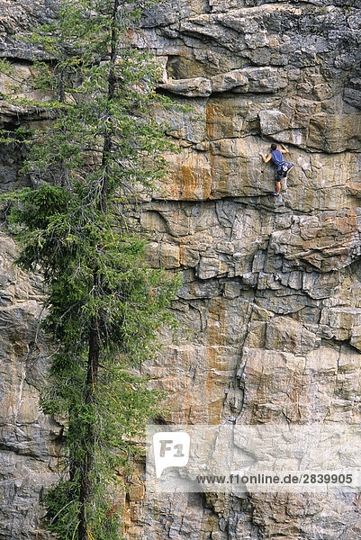 Man Klettern an mütterlichen Wand. Skaha Bluffs. Penticton  British Columbia  Kanada.