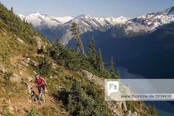 Mountain biking in the coast mountains near Whistler  British Columbia  Canada.