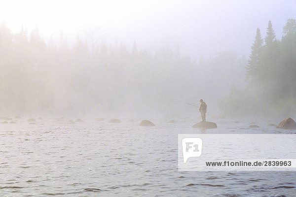 Lachsangeln im Nebel auf der oberen Humber River  Neufundland  Kanada.