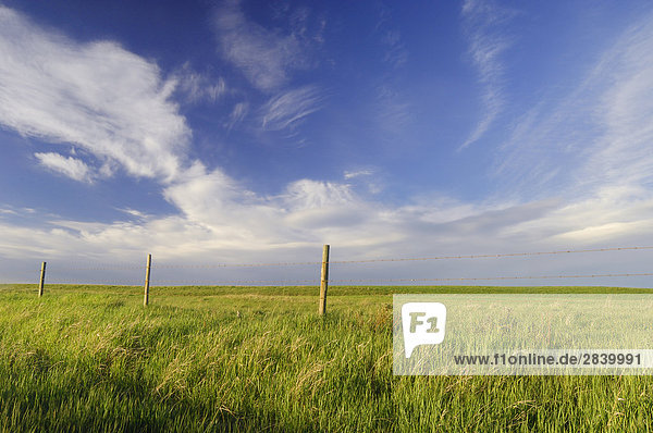 Active Prairie sky and farm fenceline West of Calgary  Alberta  Canada.
