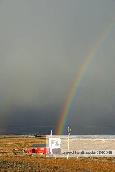 Regenbogen über Scheune  Südwest Alberta  Kanada.