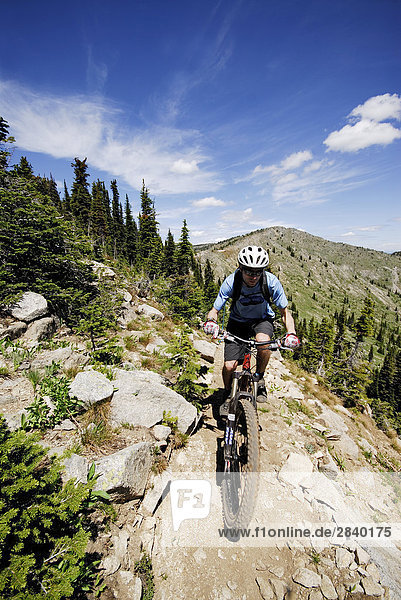 Man bikes the Seven Summits trail  Rossland  British Columbia  Canada.