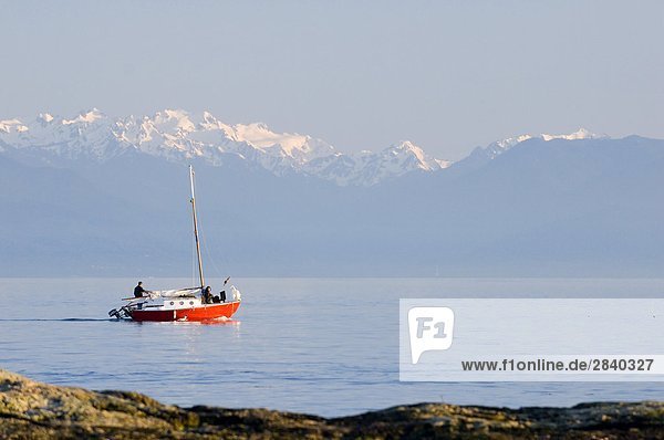 A sailboat passes by the Dallas Road waterfront with the Olympic Mountains in the background  Victoria  Vancouver Island  British Columbia  Canada.