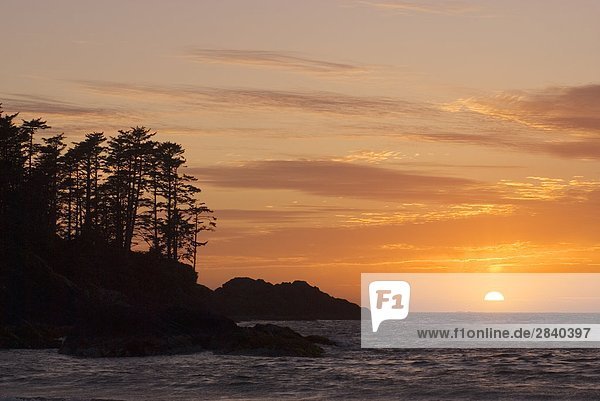 Sunset at Chesterman Beach near Tofino  Vancouver Island  British Columbia  Canada.
