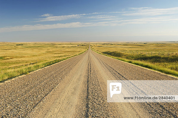 Straight gravel road heading off into the distance in rural Southern Alberta  Canada.
