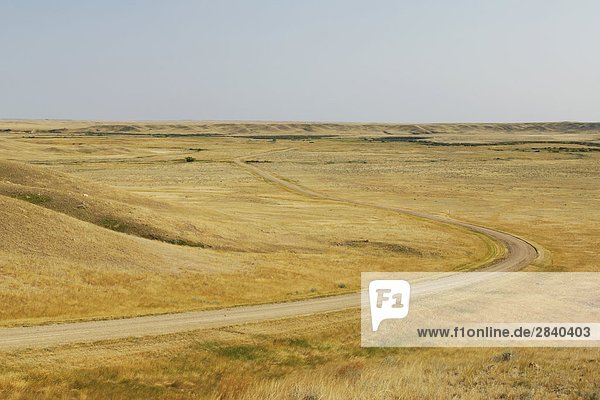 Grasslands National Park  Southern Saskatchewan  Canada.
