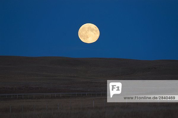 Moon Rising über Prairie Landschaft  Alberta  Kanada.