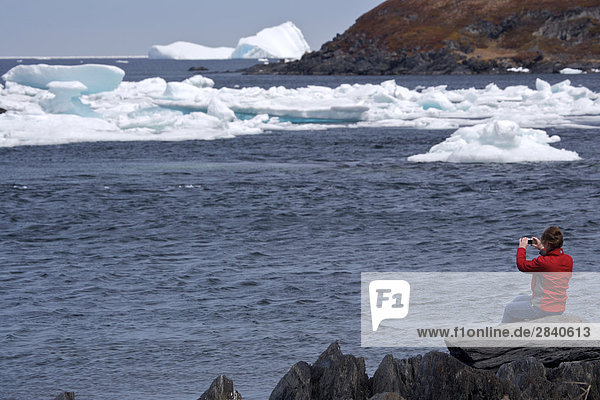Eisberg Wasserrand Hafen Frau sehen Stadt Eis Kanada