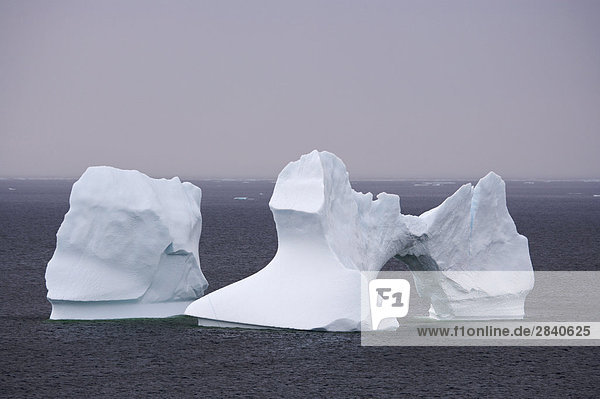 Eisberg Gasse Gemeinschaft groß großes großer große großen zeigen flach Kanada Aussichtspunkt